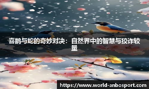 喜鹊与蛇的奇妙对决：自然界中的智慧与狡诈较量