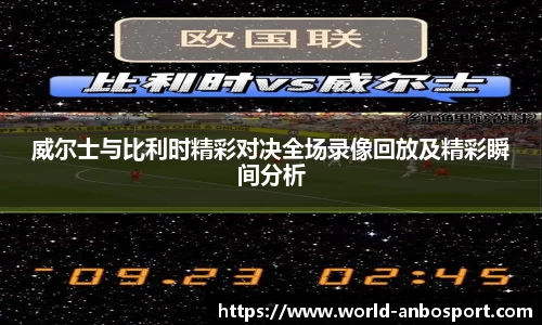 威尔士与比利时精彩对决全场录像回放及精彩瞬间分析